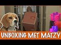 Stylen in huis met nieuwe dierenspullen | DierenpraatTV