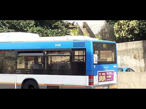 STCP linha 805 veiculo 3146