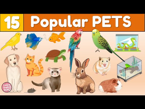 15 Pet Animals in English 🐈 Pets Vocabulary for Kids | ESL Lesson with Pictures & Pronunciation