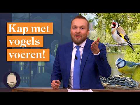 5 redenen waarom je geen vogels moet voeren! | LUBACH