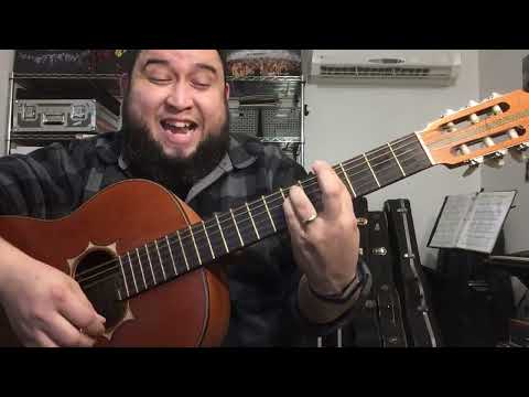 Señorita - Javier Solis