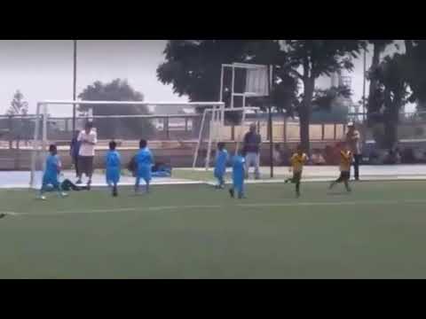 Goles de Flavio Collantes 2018-2019