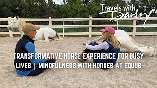 Transformative Horse Experience for Busy Lives | Mindfulness with Horses at EQUUS
