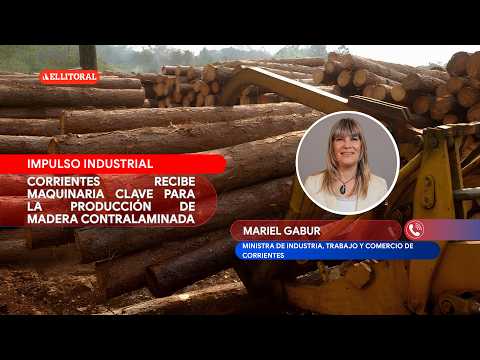 Corrientes recibe maquinaria para inversión maderera - Mariel Gabur, Ministra de Industria de Ctes