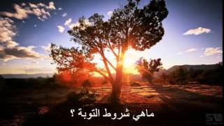 فتاوى ومواعظ | 9 | ما هي شروط التوبة؟ image