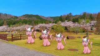 - おはなみしよー!!!!ざつだん