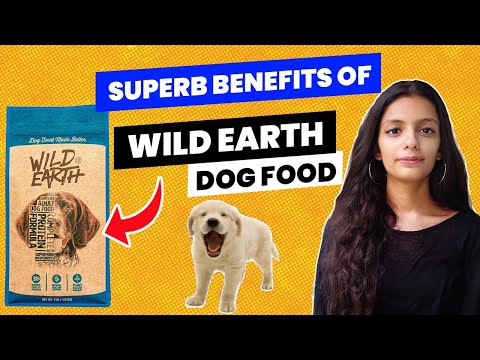 Wild Earth Dog Food Review