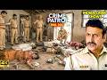 रात के खाने के बाद पूरा परिवार गायब Best Of 