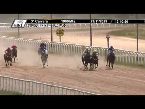 11/29/2025 – Hipodromo Melo – Carr 3 – AJUPENCEL-MELO-CERRO LARGO