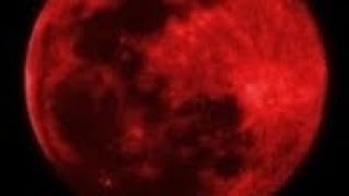 🩸Minecraft 1.21.8 - Survival - EP4: Destruction of the village