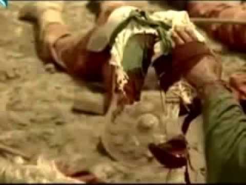 Elshen Xezer Seyyid Rovshen Agla Ruqeyya Kopyası