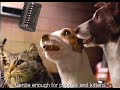 2000 NZ TV Commercials January 10