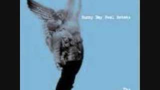 Sunny day real estate- Dissapear