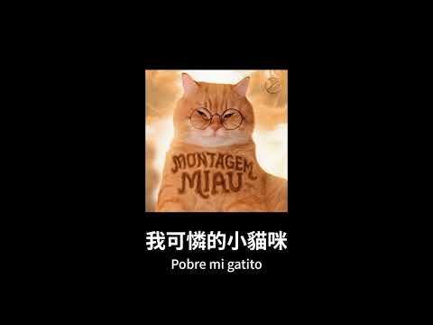 Lenar - Montagem Miau｜中字