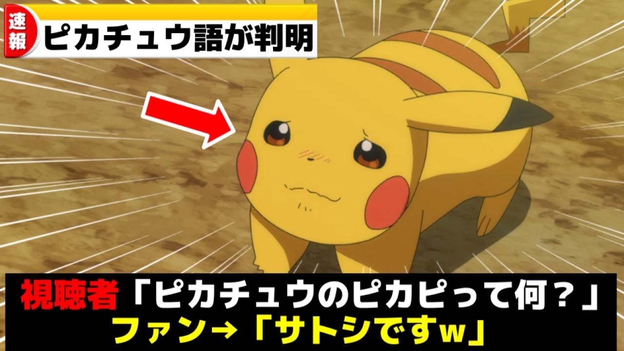 9割以上が知らないピカチュウ語まとめww【サトシのピカチュウ】