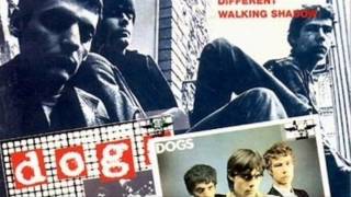 Dogs - Dreadful times