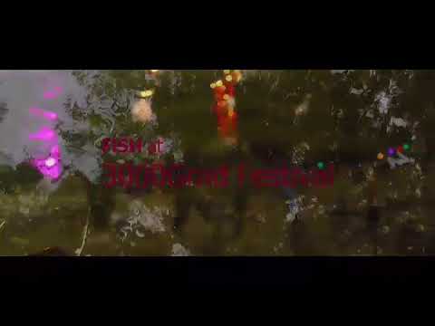 FiSH at 3000Grad Festival 2017