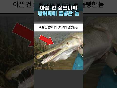 아픈 건 싫으니까 방어력에 몰빵한 놈 ㅋㅋ