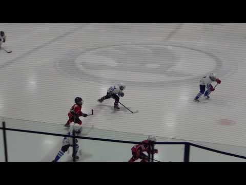HC Dynamo Tallinn U10 - HC Vipers U10  3:3 (1:1,2:0,0:2)  10.11.2017