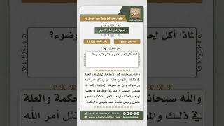 10139 - انتقاض الوضوء بأكل لحم الإبل -  نور على الدرب image