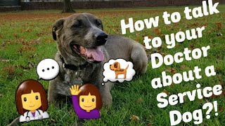 How to talk to your Doctor about a Sevice Dog | How to Get a Service Dog Tips