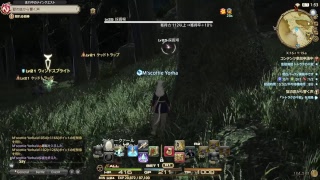 FF14実況テスト日記　8