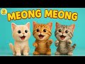 Lagu Anak Anak ANAK KUCING MEONG MEONG Lagu Anak Balita Paling Viral Terbaru