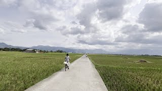 Download lagu Hamparan Sawah Yang Indah di Rancaekek Kab. Bandung 🌱 mp3