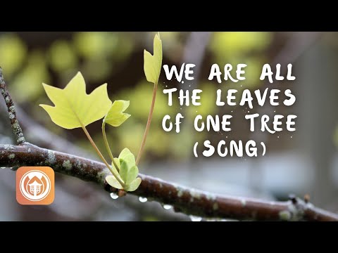 Plum Village - We Are All The Leaves Of One…