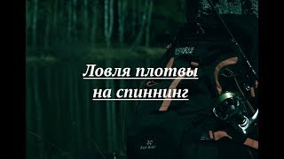 Приманки для ловли плотвы на спиннинг