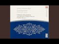 Concerto for 4 Harpsichords in A Minor, BWV 1065: II. Largo