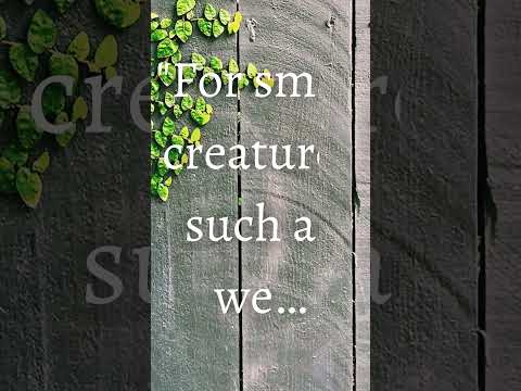 Romantic Love Quote - Carl Sagan, Contact