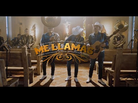 Me Llamas - Los Plebes del Rancho de Ariel Camacho (En Vivo) Banda Sinaloense La Tuyia