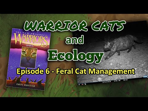 Warrior Cats and Ecology: 6 - Feral Cat Management