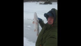 Ссылка