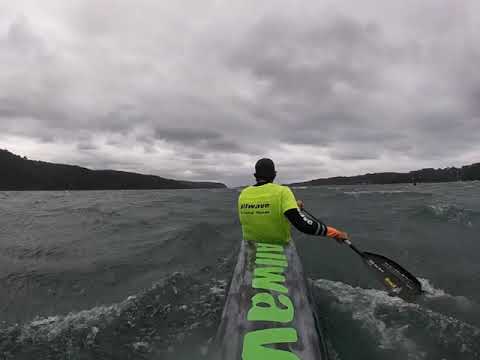 Allwave DNA and Allwave RS600