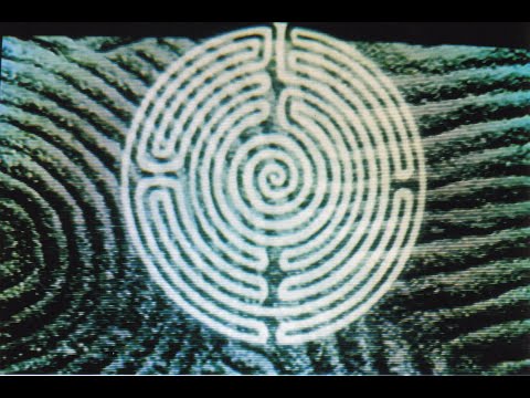 THE FLORA FADDY FURRRY DANCE DAY