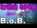 B.o.B. - Open Wide
