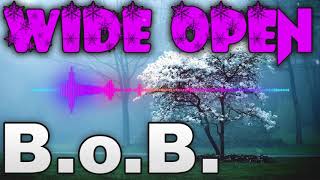 B.o.B. - Open Wide