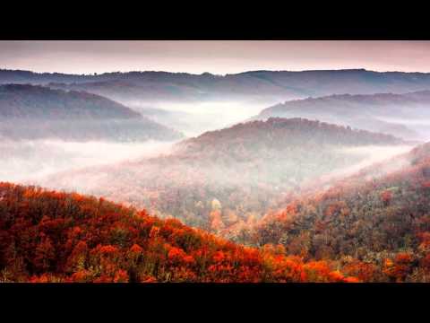 Oistrakh, Oborin - Beethoven - Violin Sonata No 1 in D major, Op 12