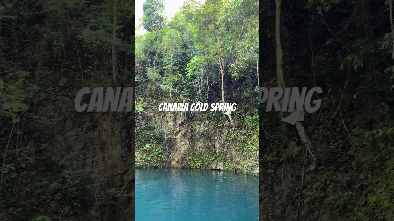 YouTube Short thumbnail