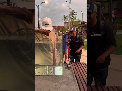 The Caneloso - The Coin Challenge 🤑