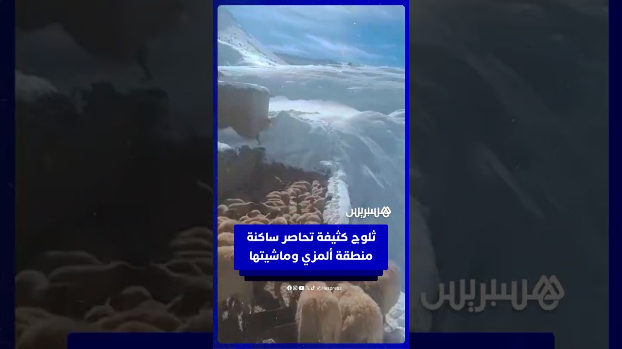 ثلوج كثيفة تحاصر ساكنة ألمزي وماشيتها بإقليم ميدلت thumbnail