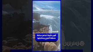 ثلوج كثيفة تحاصر ساكنة ألمزي وماشيتها بإقليم ميدلت thumbnail