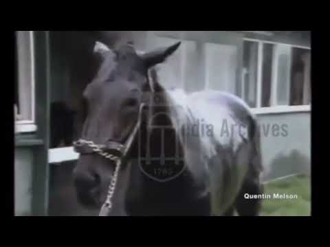 A Tribute To Pleasant Colony