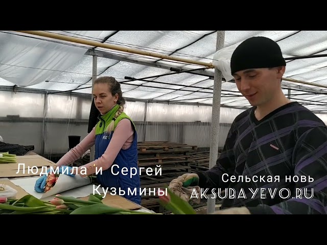 Петрушковларга санкцияләр дә куркыныч түгел