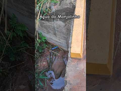 Água do Monjolinho em Guaraci/PR