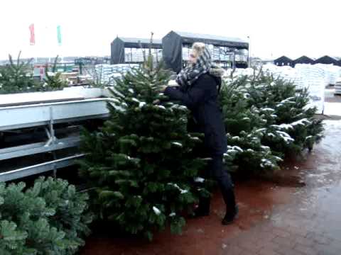 Köpa julgran del 1