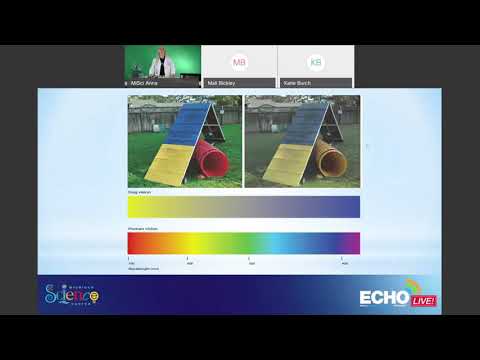 Visible Light with Anna - Michigan Science Center