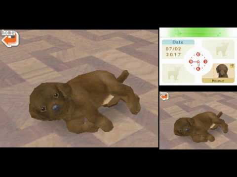 download lagu mp3 mp4 Nintendo Ds Roms Nintendogs, download lagu Nintendo Ds Roms Nintendogs gratis, unduh video klip Nintendo Ds Roms Nintendogs